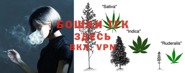 прущий лед Бронницы