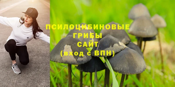 прущий лед Бронницы