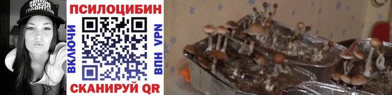 Галлюциногенные грибы MAGIC MUSHROOMS Новоуральск